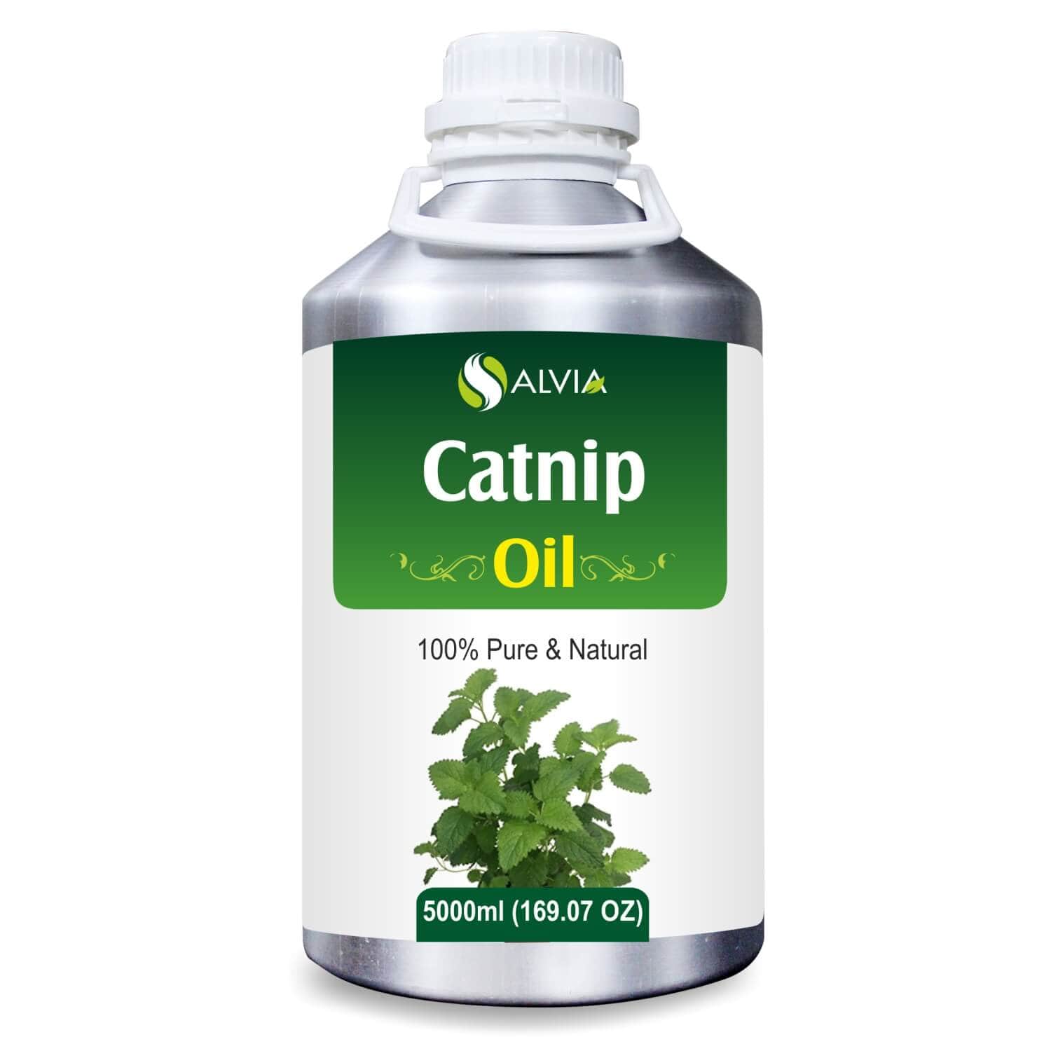 Salvia Natural Essential Oils 5000ml Catnip Oil (Nepeta Cataria) Pure Undiluted Therapeutic Grade Essential Oil For Relaxation, Headache, Sound Sleep, Mosquito Repellent, & Cat Attractant Salvia Natural Essential Oils 5000ml Catnip Oil (Nepeta Cataria) Pure Undiluted Therapeutic Grade Essential Oil For Relaxation, Headache, Sound Sleep, Mosquito Repellent, & Cat Attractant